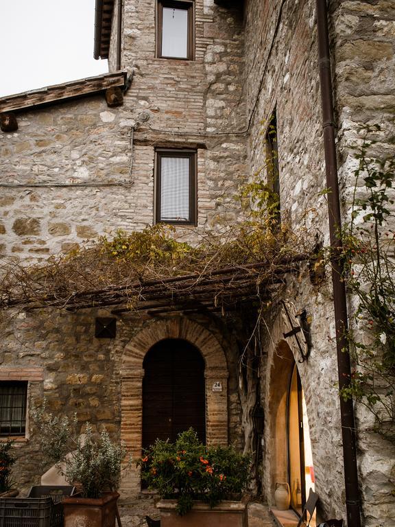 Montebagnolo Torre Valbiancara旅馆 外观 照片